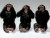 chimps